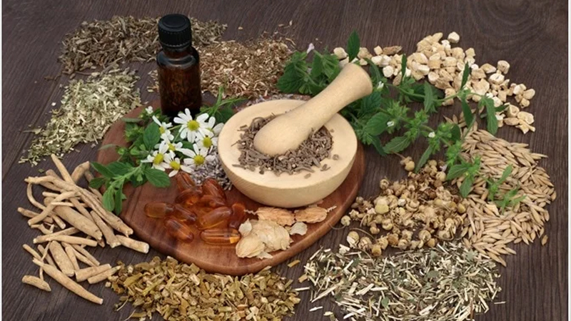 Minat ke Pengobatan Herbal? Ini yang Harus Diketahui – PAFI Kab. Lingga